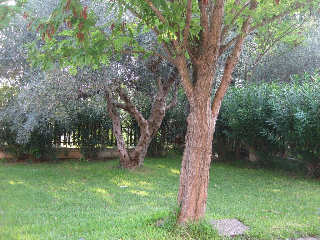 Caputaquis Bed and Breakfast Capaccio Buitenkant foto